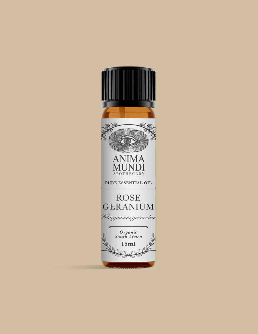 ROSE GERANIUM Essential Oil | Organic