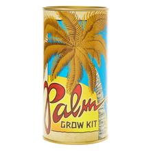 Palm Tree | Seed Grow Kit 5470